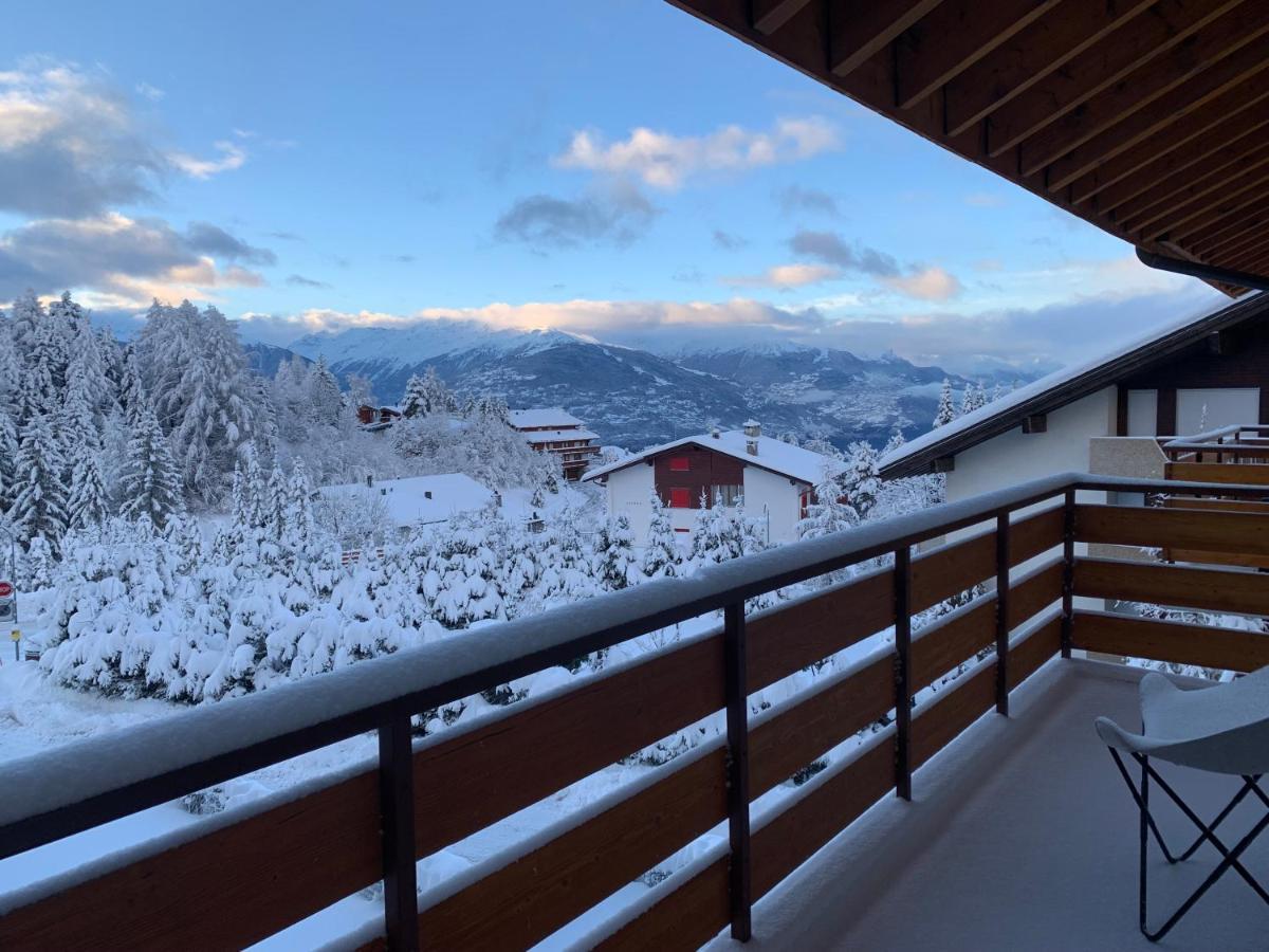 Appartamento La Jacinthe De Crans-Montana