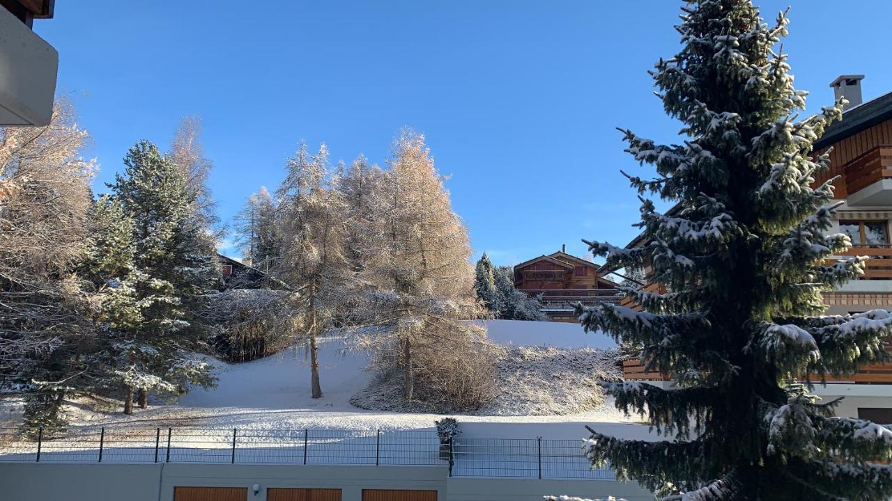 La Jacinthe De Apartamento Crans-Montana