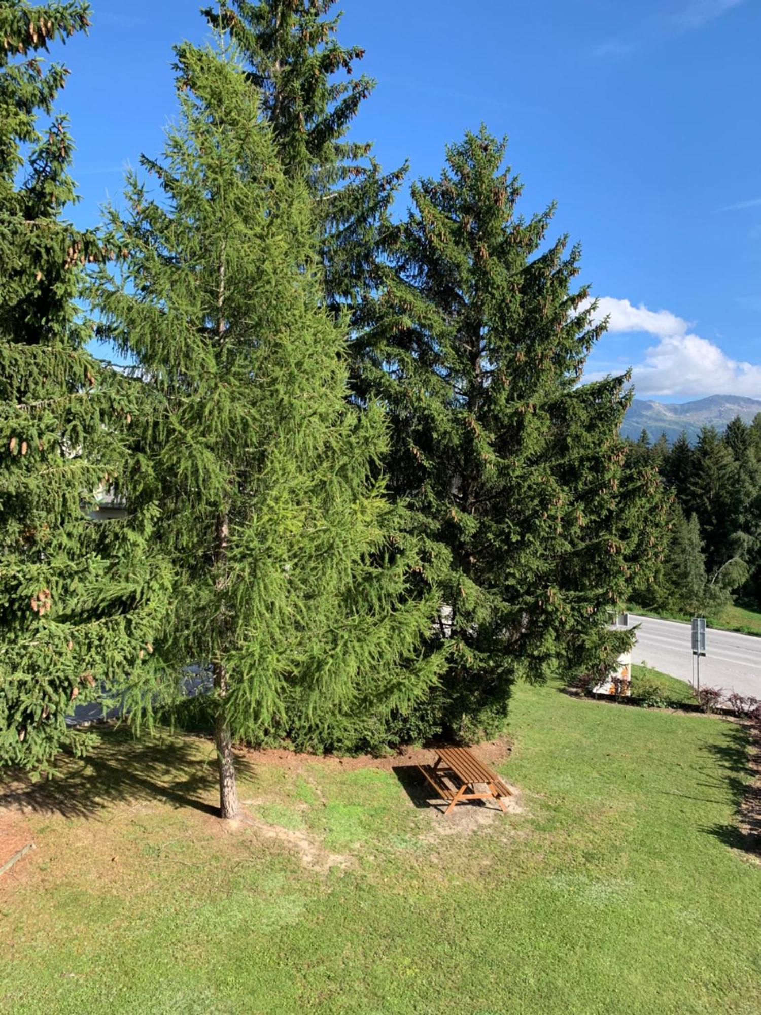 La Jacinthe De * Crans-Montana